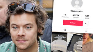 Harry Styles fans think they've discovered his secret TikTok account