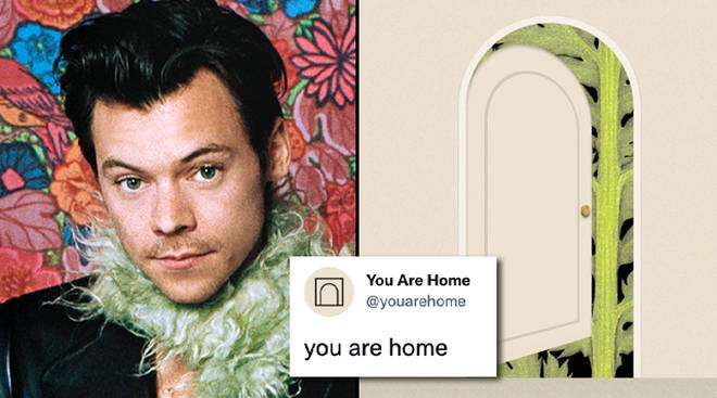 Is Harry Styles behind mysterious You Are Home website?