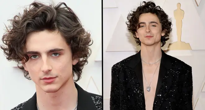 Everyone is thirsting one Timothée Chalamet going shirtless at the Oscars