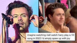 Niall Horan went to see Harry Styles on tour in London and I’m crying