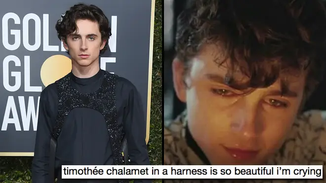 Timothée Chalamet Golden Globes red carpet harness memes