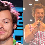 Harry Styles reacts to chicken nugget thrown on stage at his gig