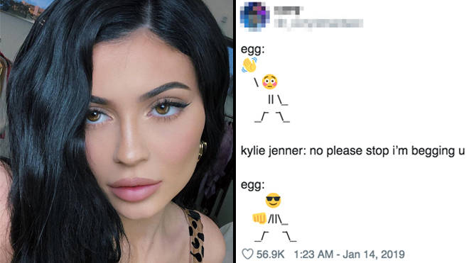 The funniest Kylie Jenner egg memes