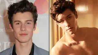 Shawn Mendes at the Brit Awards 2019/in Calvin Klein campaign.