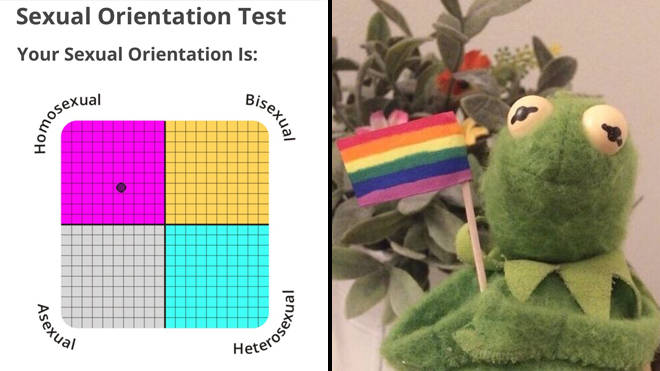 QUIZ: The IDRlabs sexuality test will tell you how gay you are - PopBuzz.
