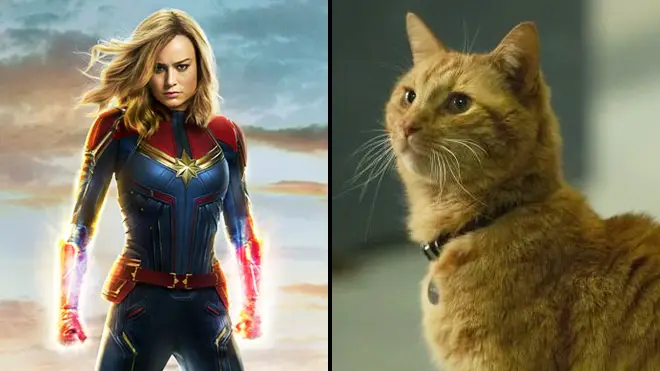 Captain Marvel cat: What is a Flerken? Goose explained