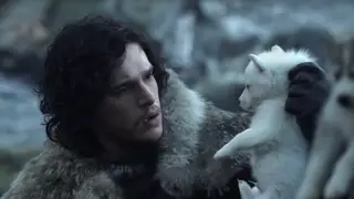Jon Snow's direwolf Ghost made a sneaky appearance