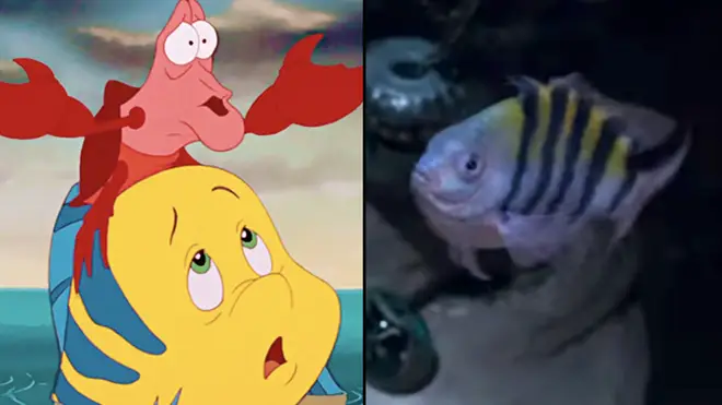 The Little Mermaid trailer reveals first look at Flounder and Sebastian