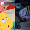 The Little Mermaid trailer reveals first look at Flounder and Sebastian