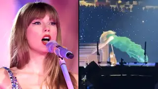 Taylor Swift's "stage dive" has gone viral on TikTok