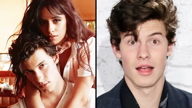 Shawn Mendes and Camila Cabello 'Señorita' lyrics and video meaning