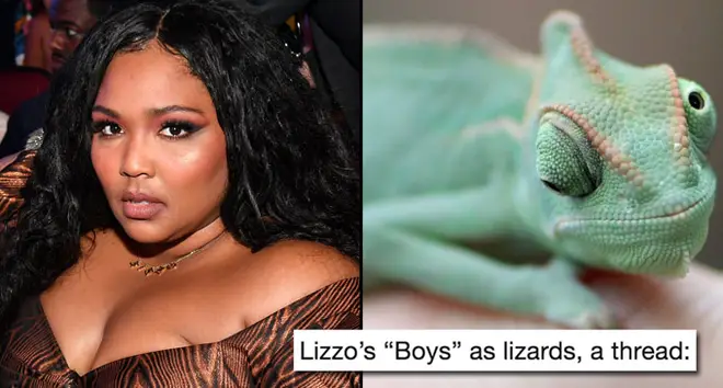 Lizzo at the BET Awards/A veiled chameleon, also known as Yemen chameleon.