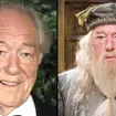 Sir Michael Gambon, best known for playing Dumbledore in Harry Potter, has died aged 82