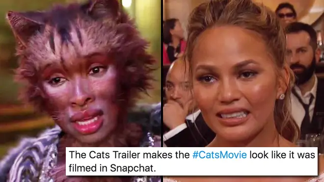 The funniest Cats memes inspired the Cats movie trailer