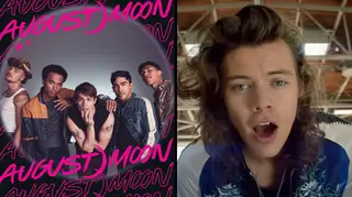 Are August Moon based on One Direction? How Harry Styles is connected to The Idea of You
