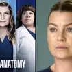 Grey's Anatomy renewed for season 21