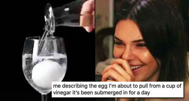 Egg is bigger than before video, Kendall Jenner laughing.