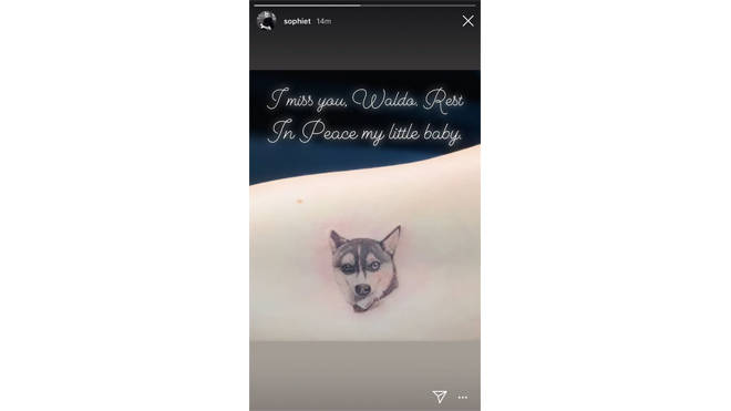 Sophie Turner gets tattoo of her late dog Waldo