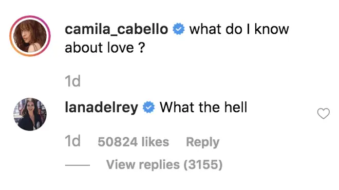 Lana Del Rey's comment on Camila Cabello's new era visuals has confused fans