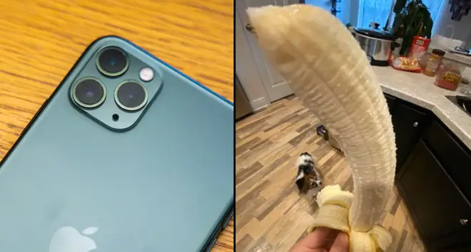 Apple's new iPhone 11 Pro Max, a banana.