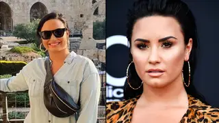 Demi Lovato Israel visit backlash