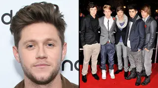 Niall Horan says One Direction would have "killed each other" without a hiatus