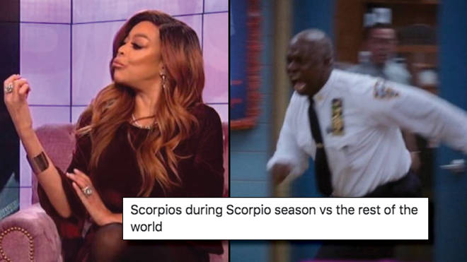 Scorpio season memes 2019