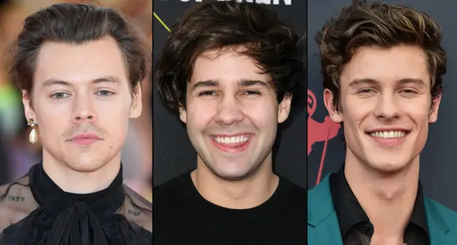 Harry Styles, David Dobrik and Shawn Mendes.