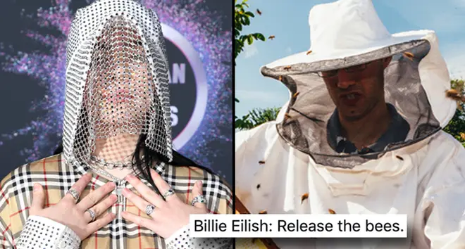 Billie Eilish attends the 2019 American Music Awards, beekeeper.